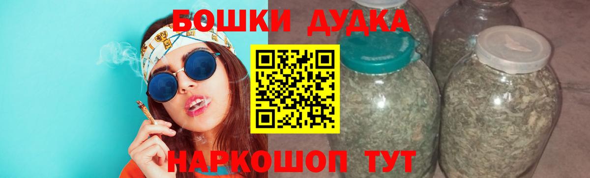 НБОМе Дубна