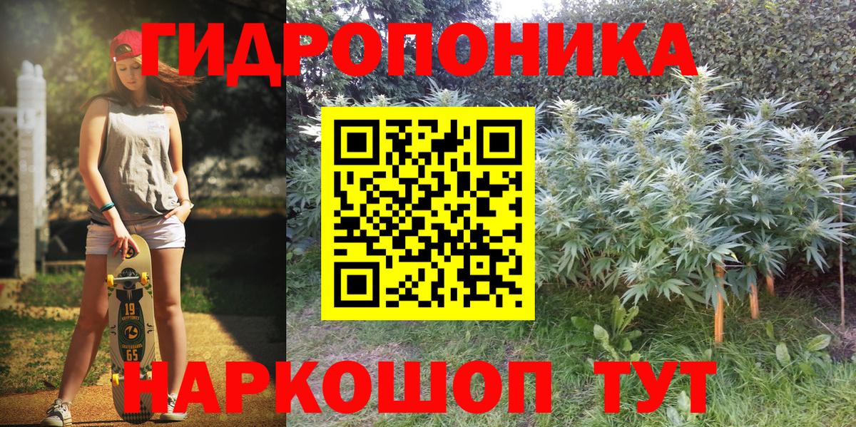 Дубна  Каннабис сатива  МАРИХУАНА Amnesia  Шишки марихуана OG Kush  Вход с VPN 